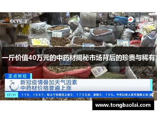 一斤价值40万元的中药材揭秘市场背后的珍贵与稀有