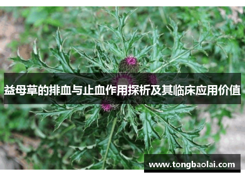 益母草的排血与止血作用探析及其临床应用价值