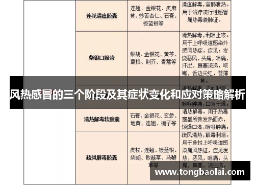 风热感冒的三个阶段及其症状变化和应对策略解析